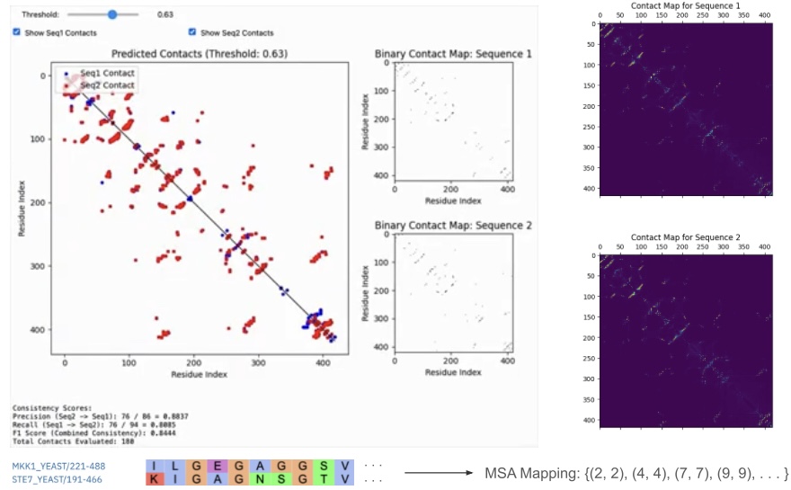 ESM Contact Prediction Screenshot